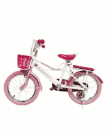 Bicicleta Infantil Evezo 903-16 Pink