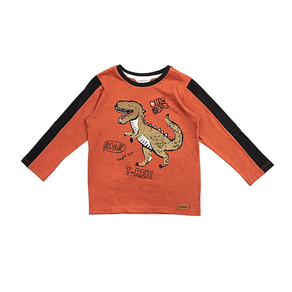 Camiseta Manga Larga Estampado de dinosaurio Niño - Babini Mundo Infantil